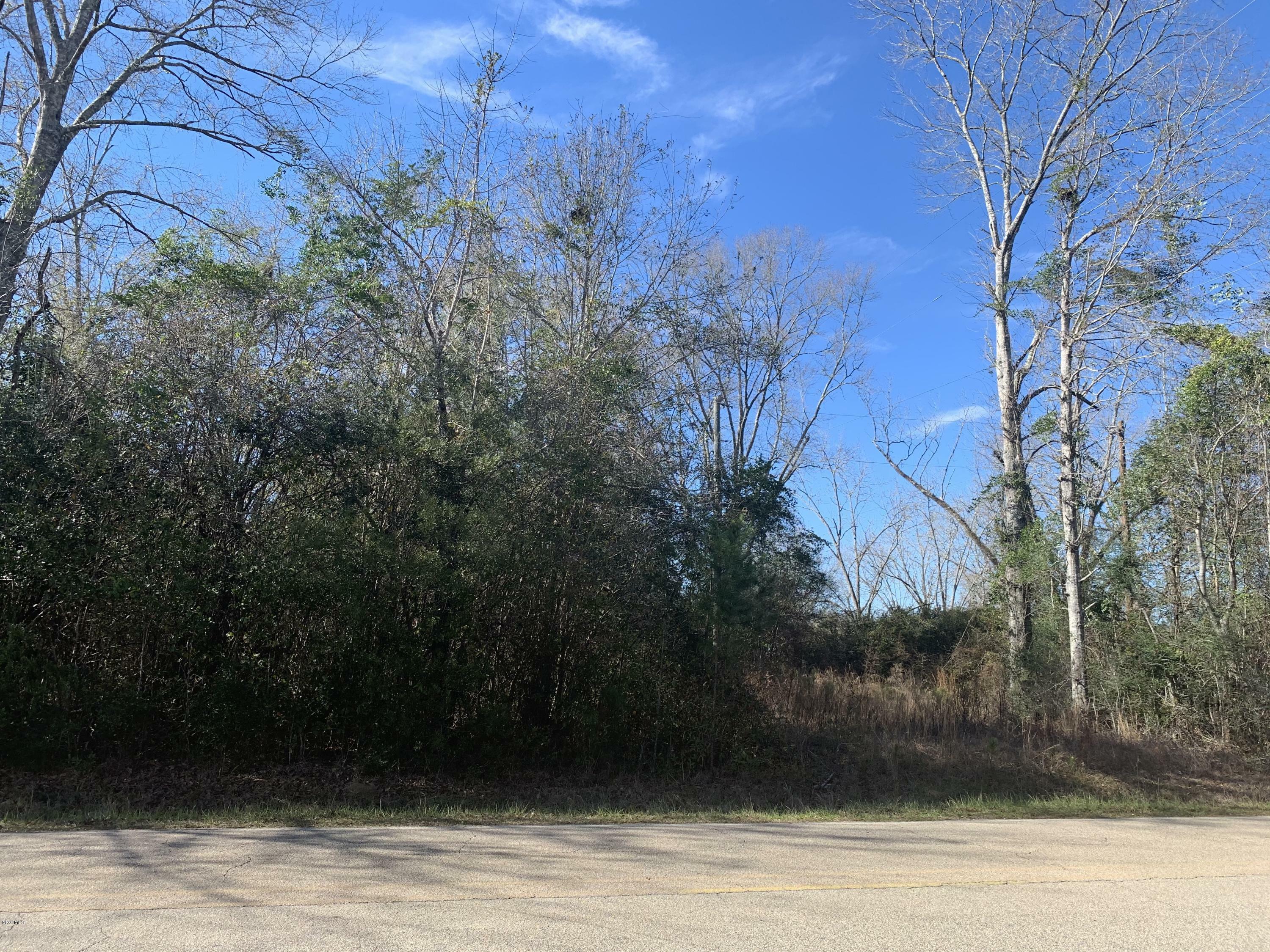 Property Photo: 0 Leetown Road MS 39466