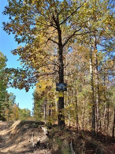 Property Photo:  0 Lucas Road  GA 30132 