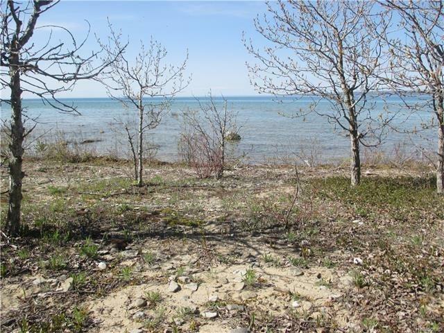 Property Photo:  Nine Mile Point Lot 28  MI 49720 