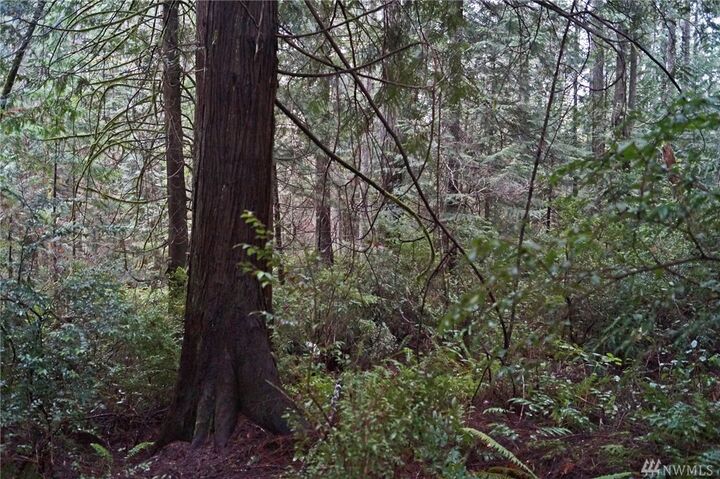 Property Photo:  14 SE Arcadia Shores Rd  WA 98584 