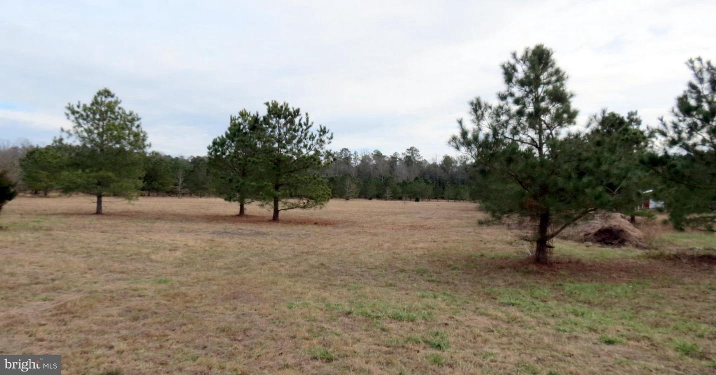 Lot 3 Millville Road  Snow Hill MD 21863 photo