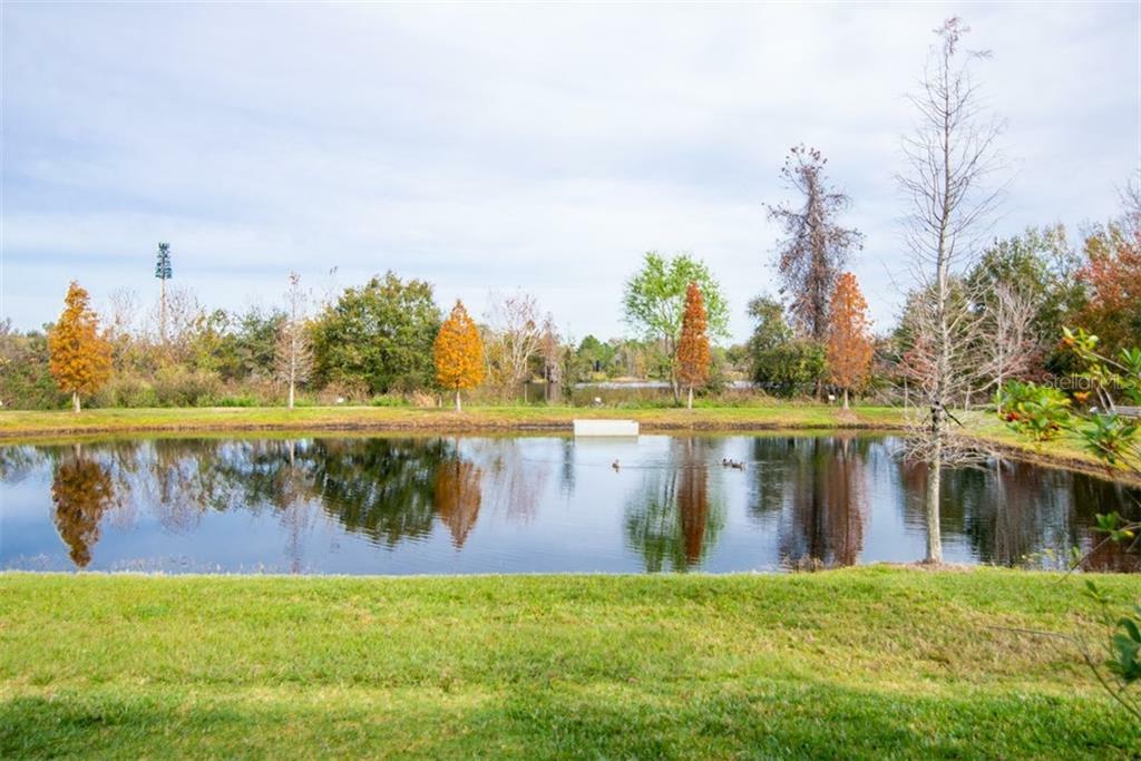 Property Photo:  10660 Lake Montauk Drive  FL 33578 