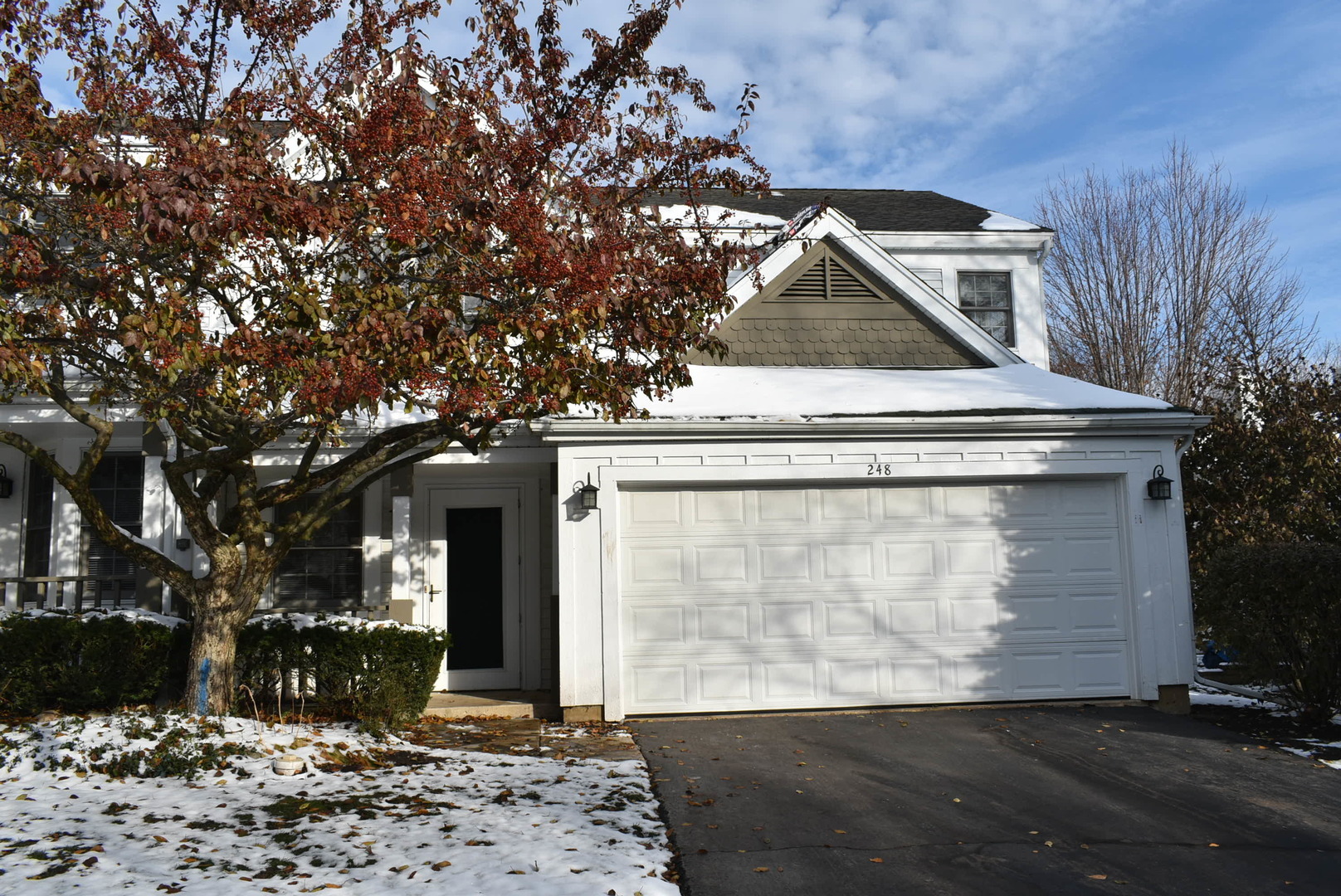 Property Photo:  248 Spring Point Drive  IL 60110 