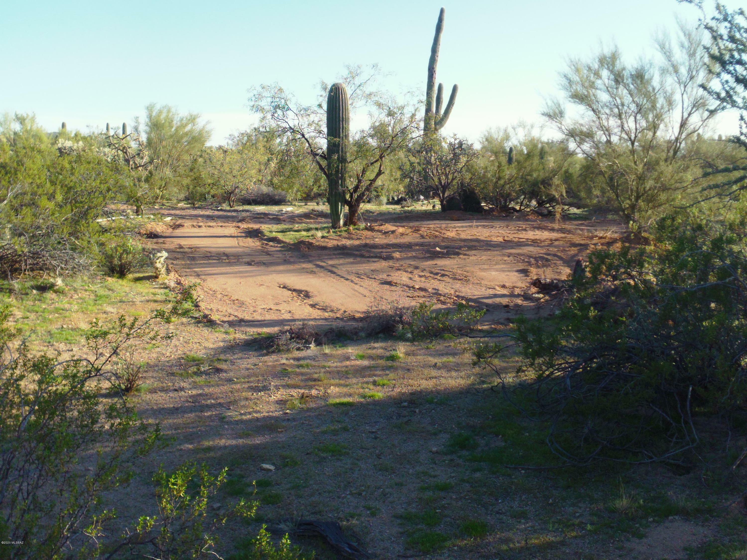 Property Photo:  12410 W Ranchettes Drive 12  AZ 85743 