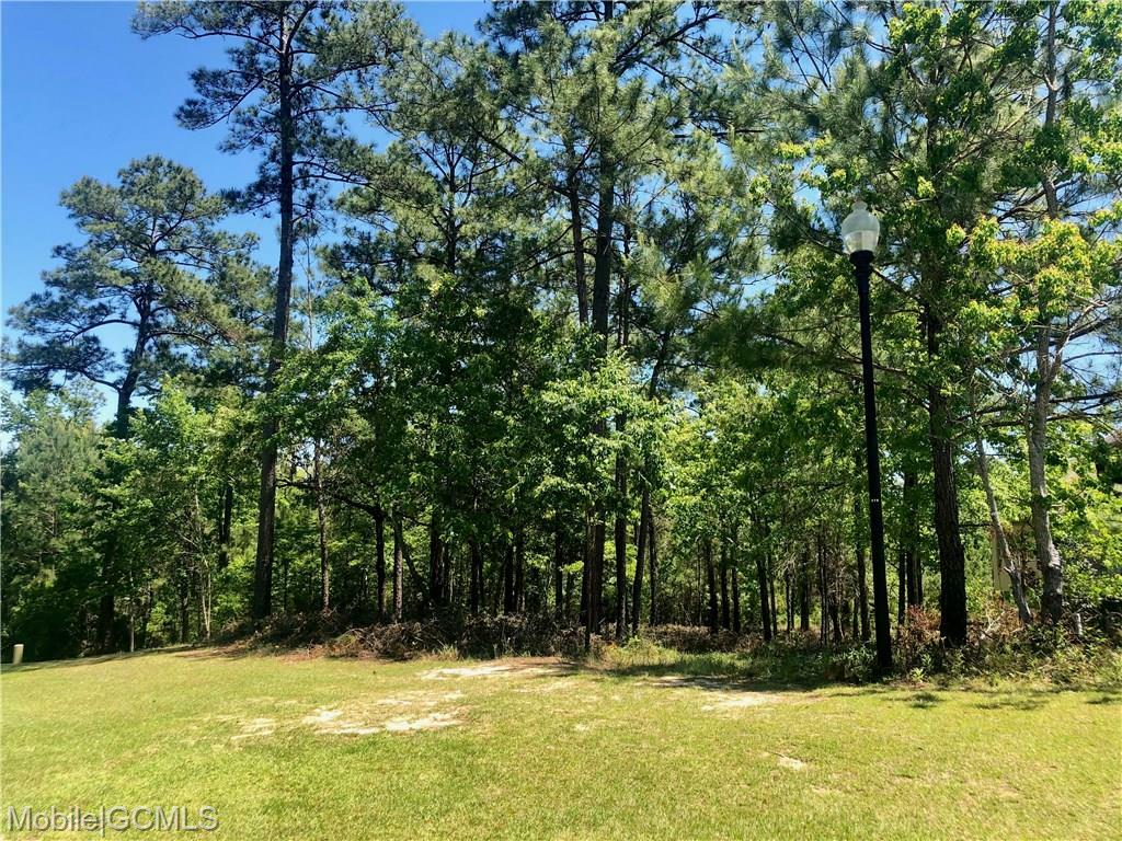 Boardwalk Drive  Spanish Fort AL 36527 photo