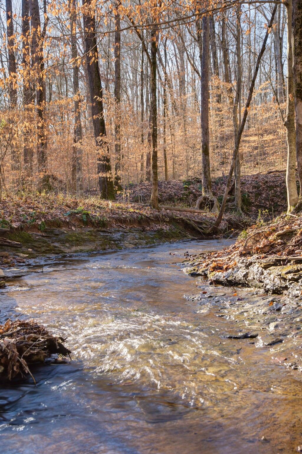 Property Photo:  0 Williamson County Line Rd  TN 37062 