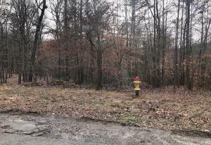 Property Photo: Old Holderford Rd, Lot 13 TN 37763