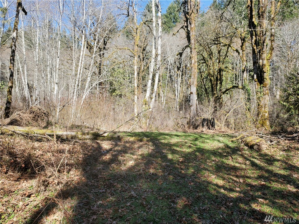 Property Photo:  761 N Duckabush Dr N  WA 98548 