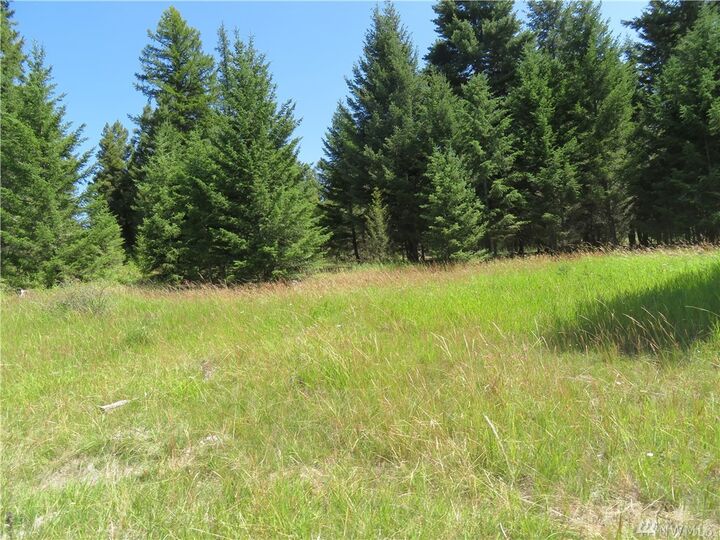 Property Photo:  Lot 7 Bonaparte Run Rd  WA 98859 