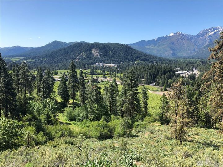 270 Arrowleaf Lane  Leavenworth WA 98826 photo