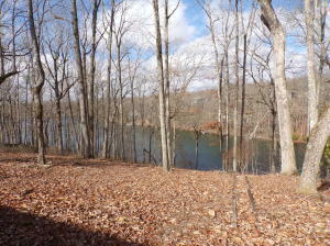 Property Photo:  200 Lakeside Drive  TN 38558 