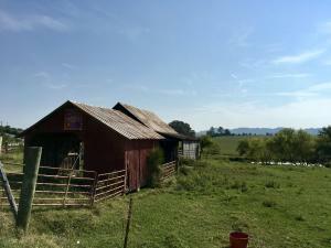 Property Photo:  305 County Rd 356  TN 37874 