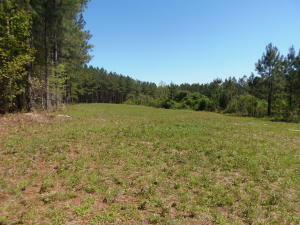 Property Photo:  County Road 192  TN 37826 