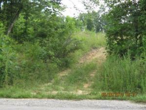 Property Photo:  Catoosa Rd  TN 37887 