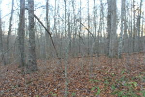 Property Photo:  Lot 12, Kingsbury Circle  TN 38558 