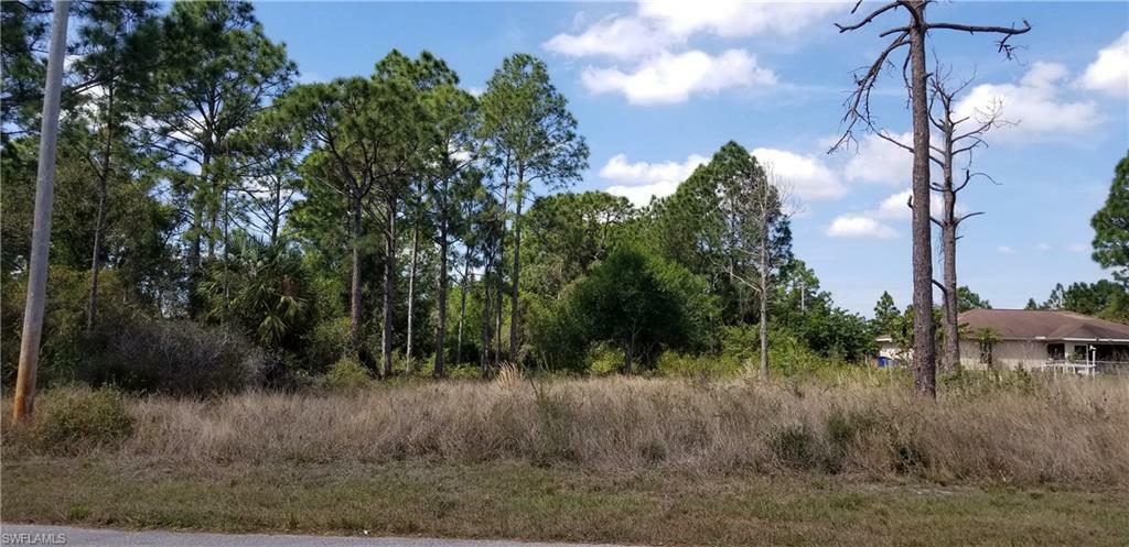 Property Photo: 328 Lillon Avenue S FL 33974