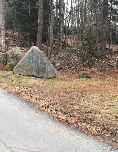Property Photo: 21 Taconic Trail NY 12720