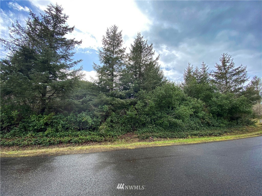 Property Photo: 117 N Wynoochee Drive SW WA 98569