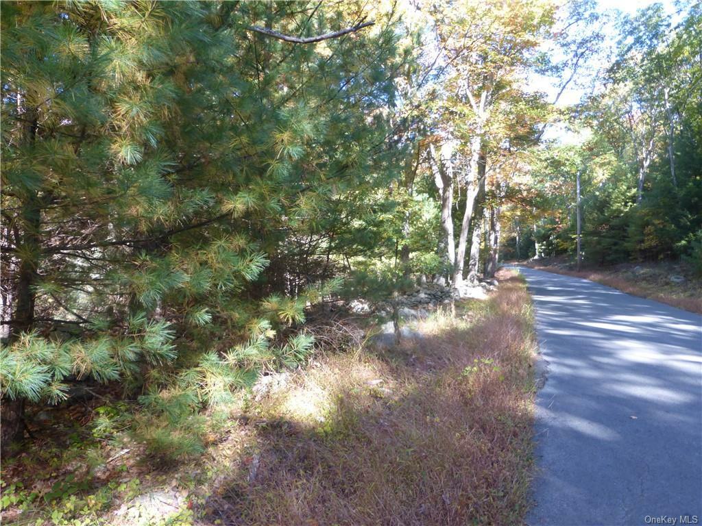 Property Photo:  Upper Pine Kill Road  NY 12790 