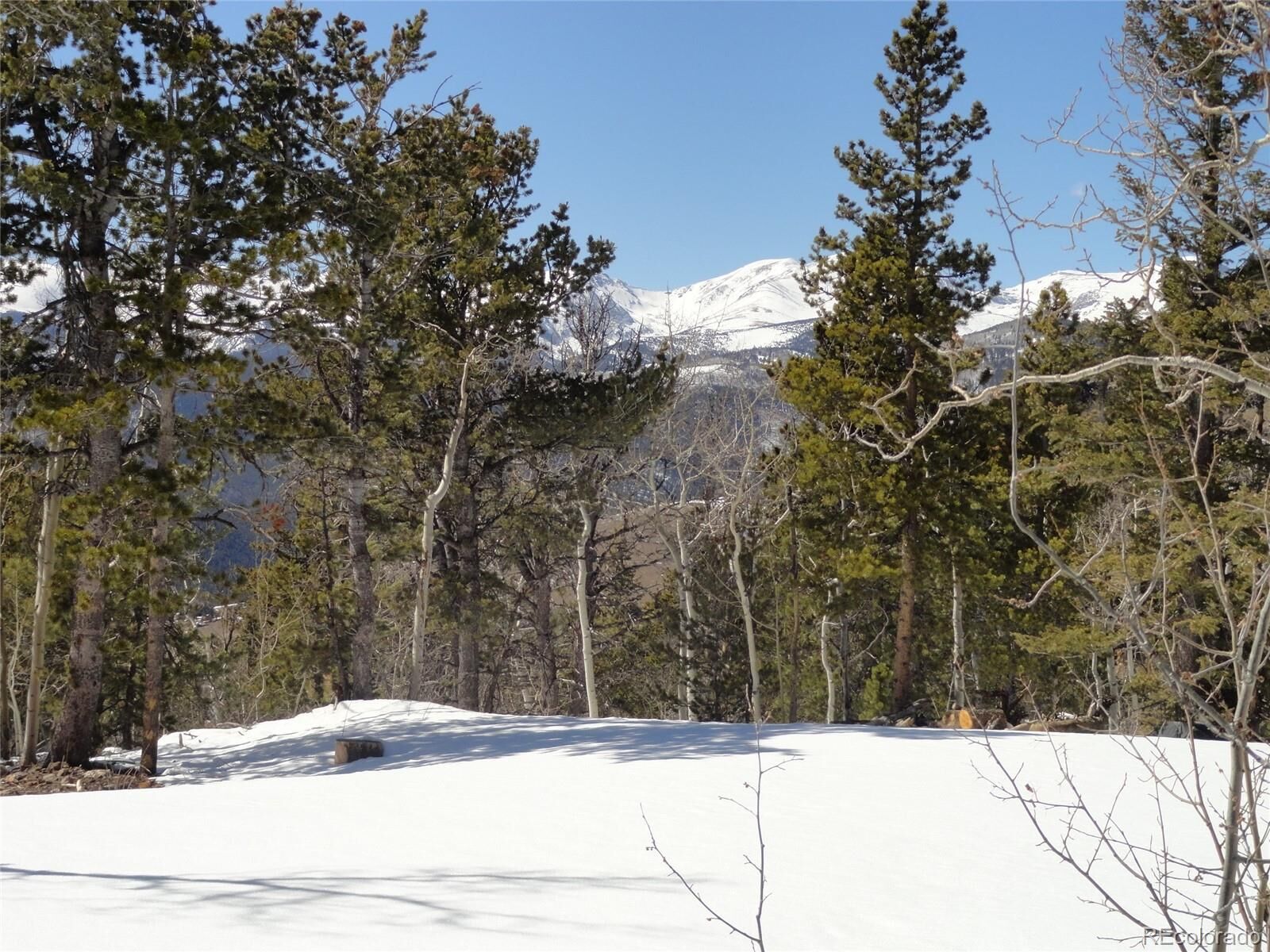Property Photo: 0 Bald Mountain Drive CO 80427