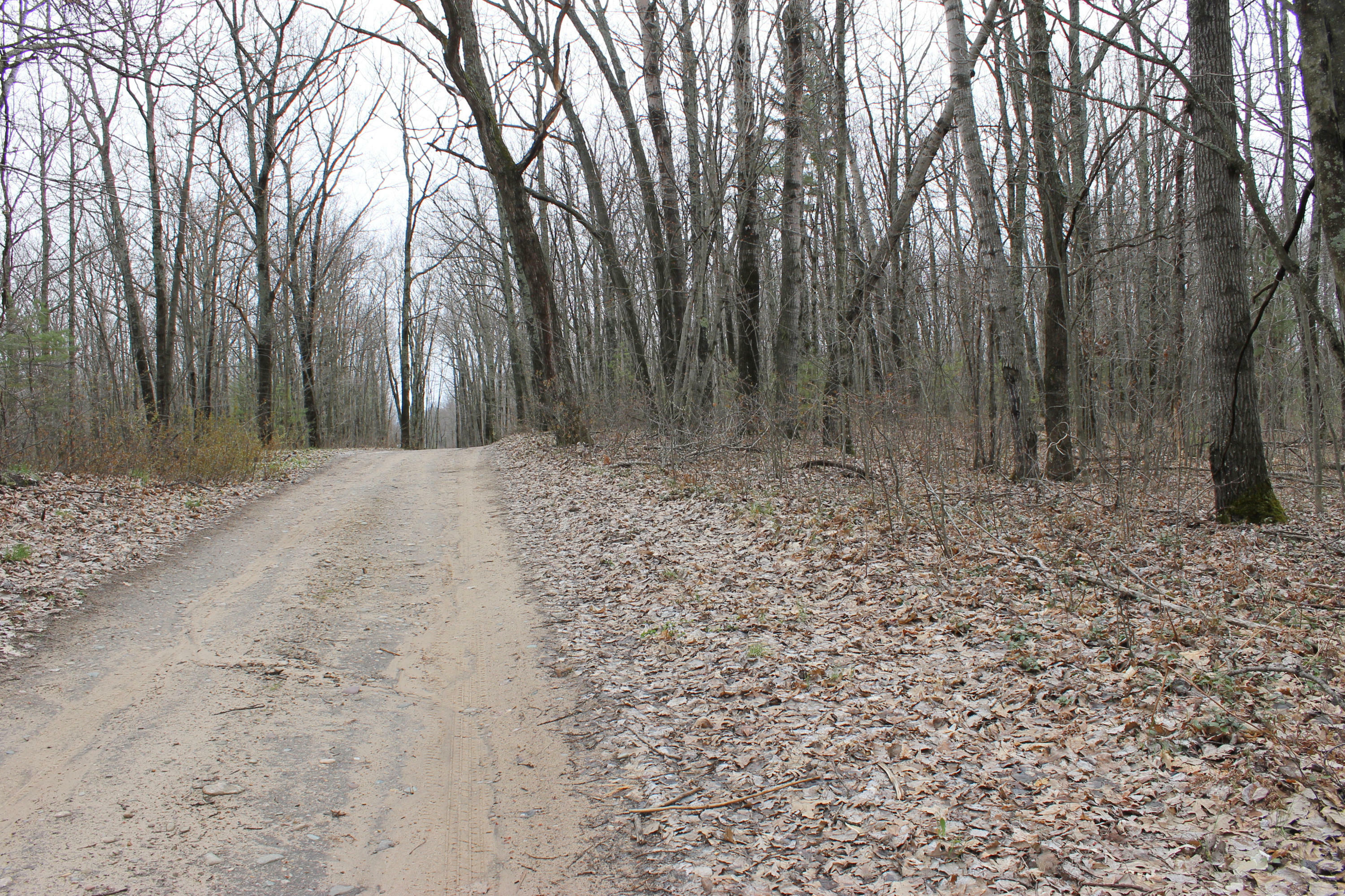 Property Photo:  S Extension Road 17+/- Acres  MI 49749 