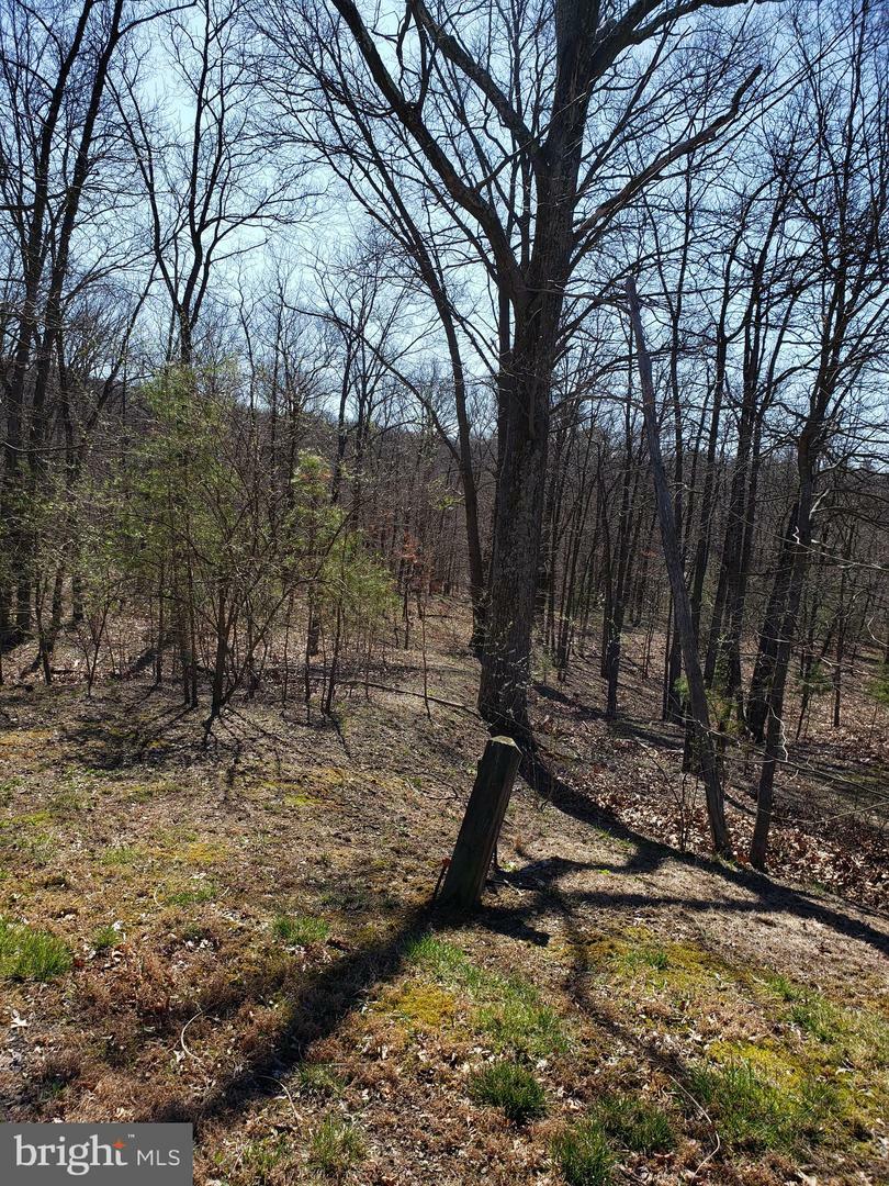 Property Photo:  Cielo Lane  WV 25411 