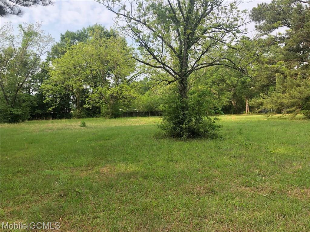 Property Photo:  Randall Avenue  AL 36526 