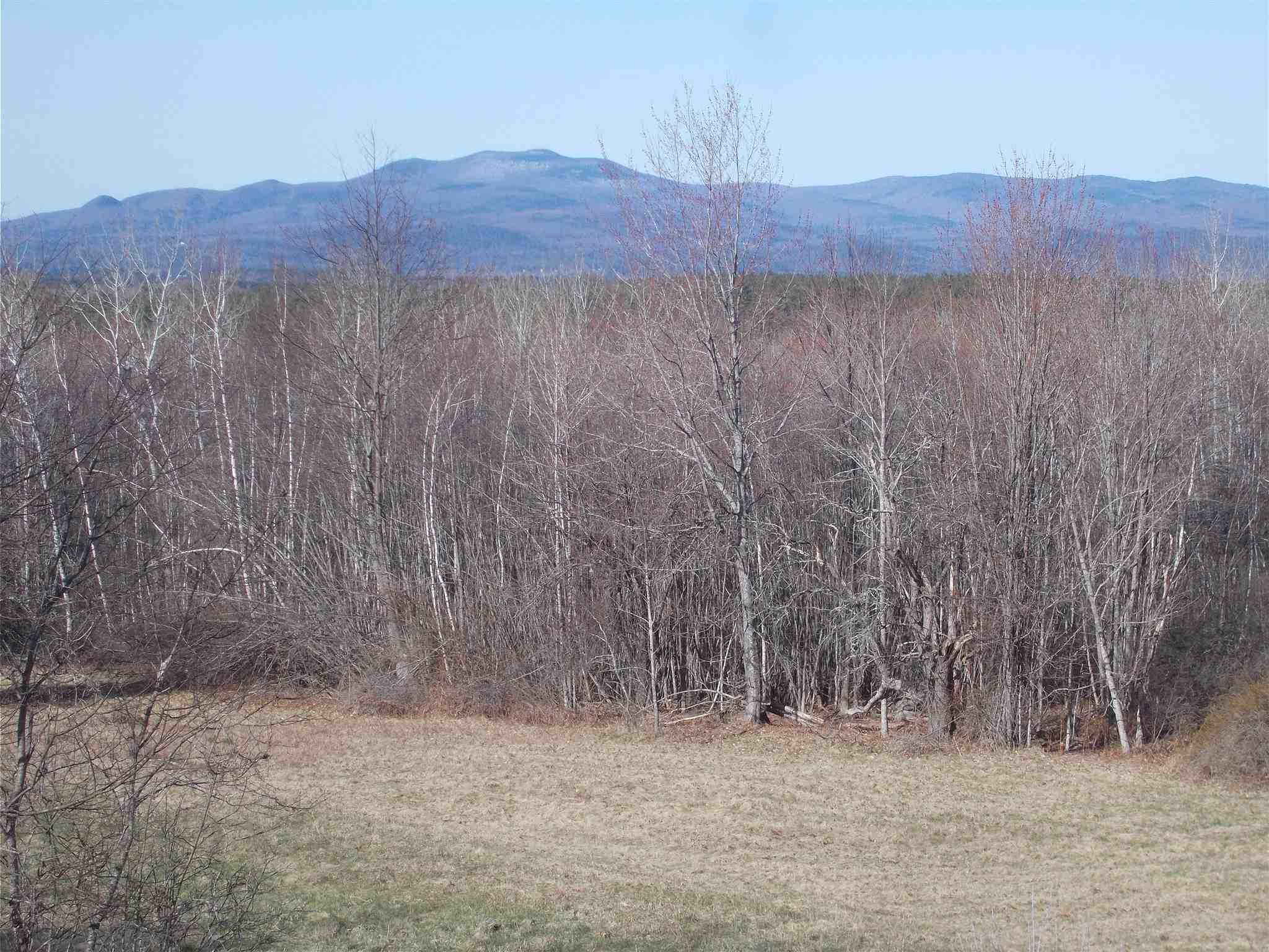 Property Photo:  110 Cushing Corner Road  NH 03836 