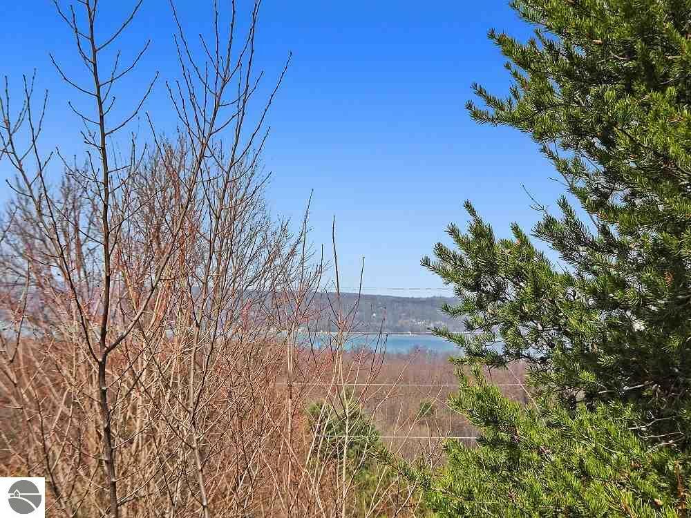 Property Photo:  Lot 3 Five Mile Road  MI 49686 