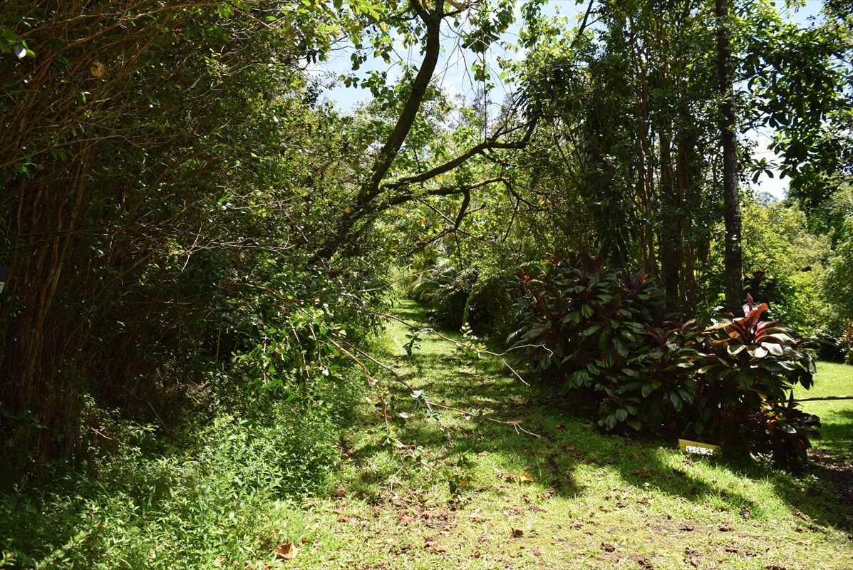 Property Photo:  Hilo Street  HI 96778 
