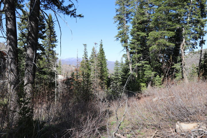 7092 Canyon Drive  Park City UT 84098 photo