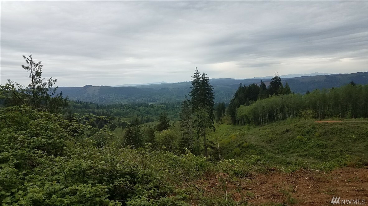 Property Photo:  0 Columbia Heights Rd  WA 98632 