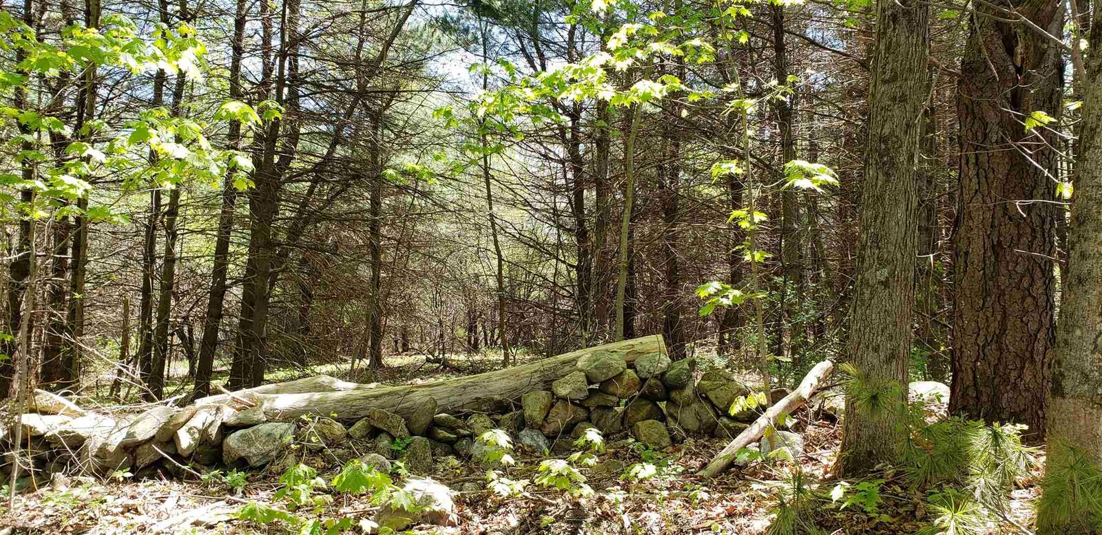 Property Photo:  0 McAdam Road  NH 03467 
