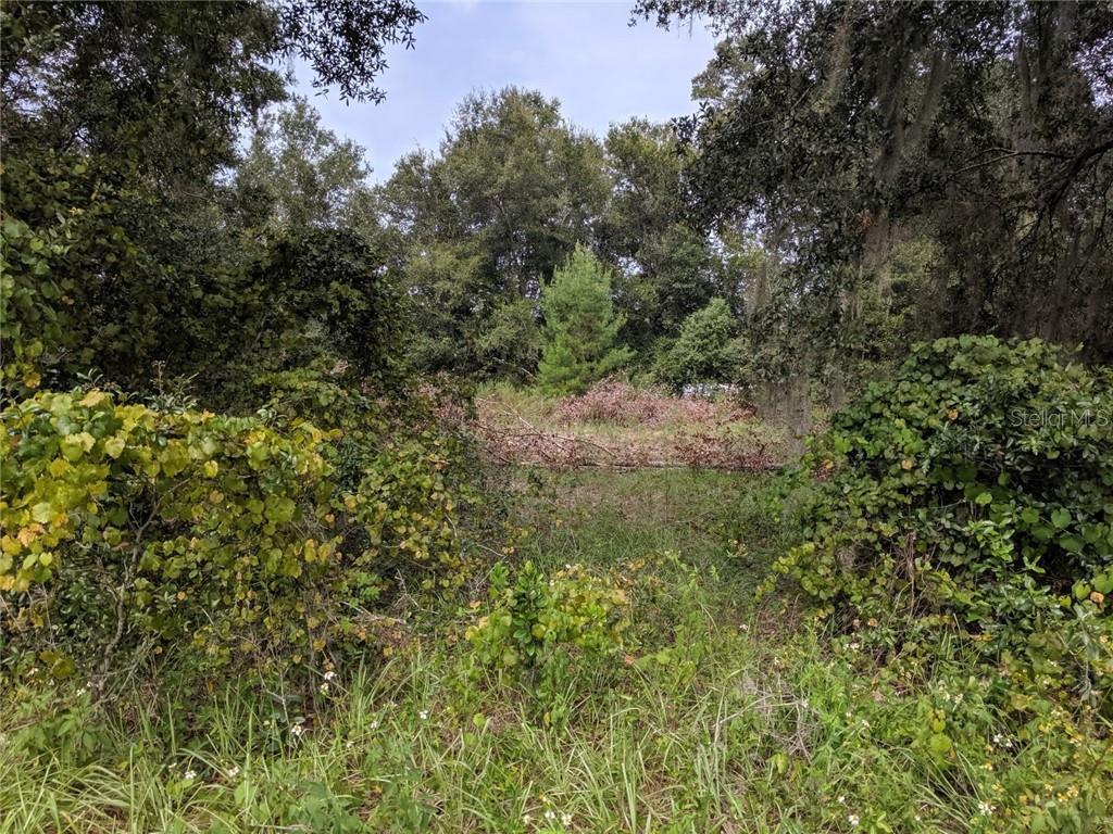 Property Photo: County Road 42 FL 32767