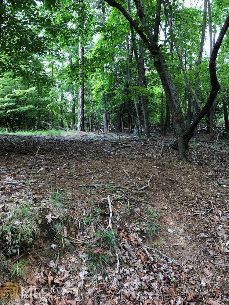 Property Photo:  0 Amherst Court Lot 541  GA 30540 