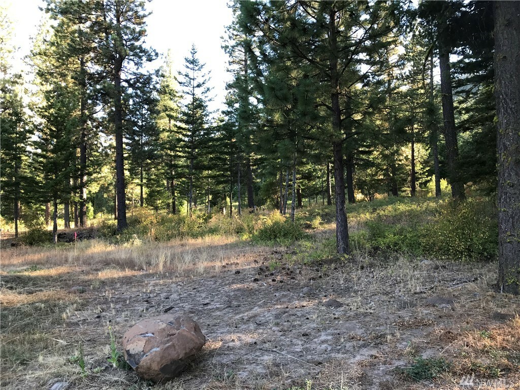 Property Photo:  Lot 4B Hidden Valley Terrace  WA 98922 