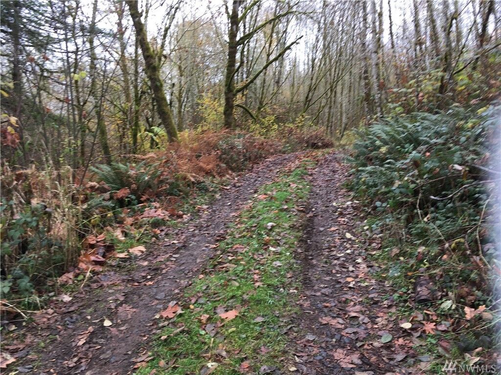 Property Photo: 0 Gish WA 98570