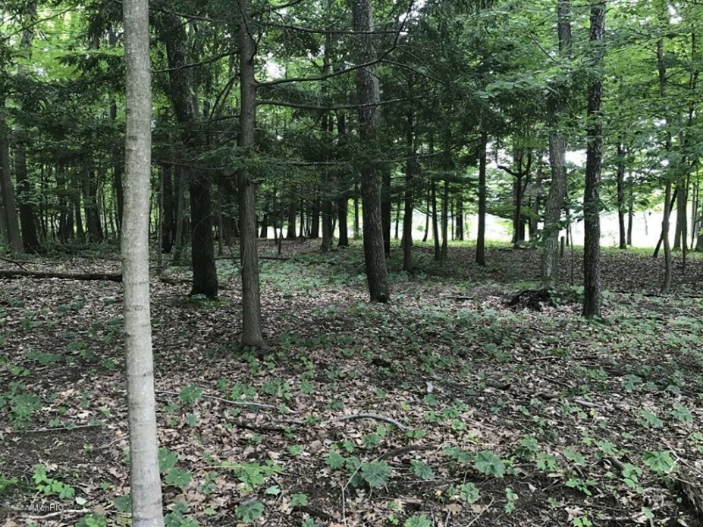 Property Photo:  Lot 54 Creekwood Drive  MI 49090 