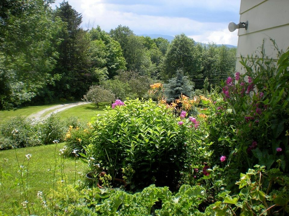 Property Photo:  804 Codding Hollow Road  VT 05656 