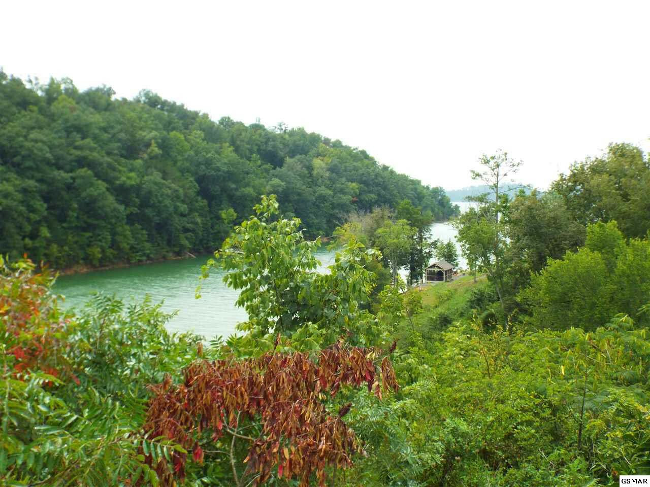 Property Photo:  Lot 29 Stone Shore Way  TN 37725 