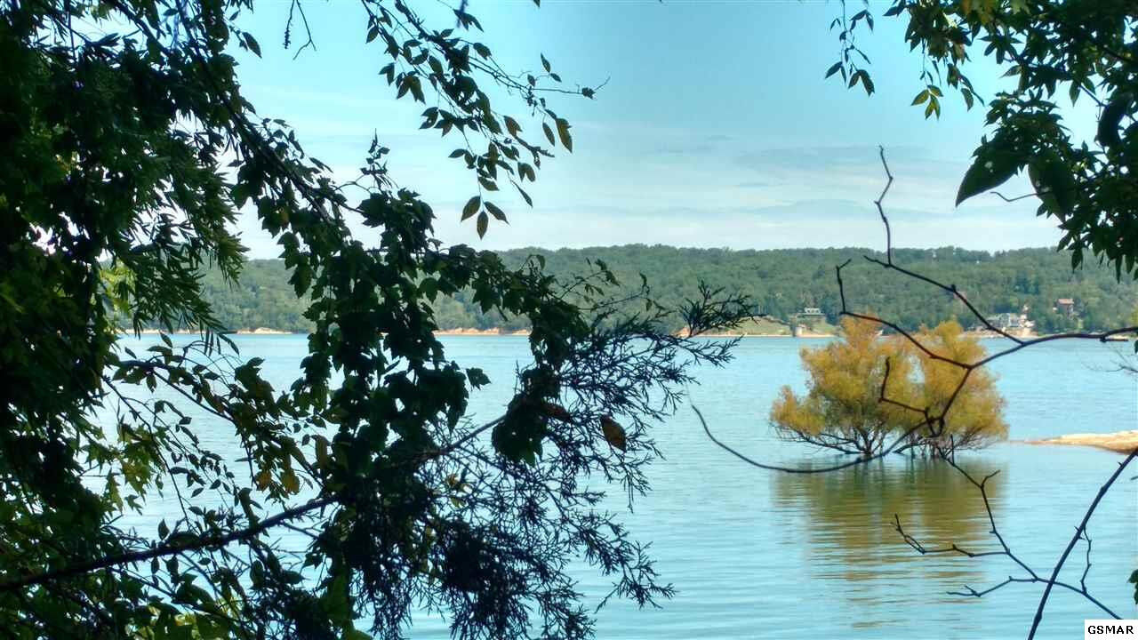 Property Photo:  Lot 6 Stokley Court  TN 37725 