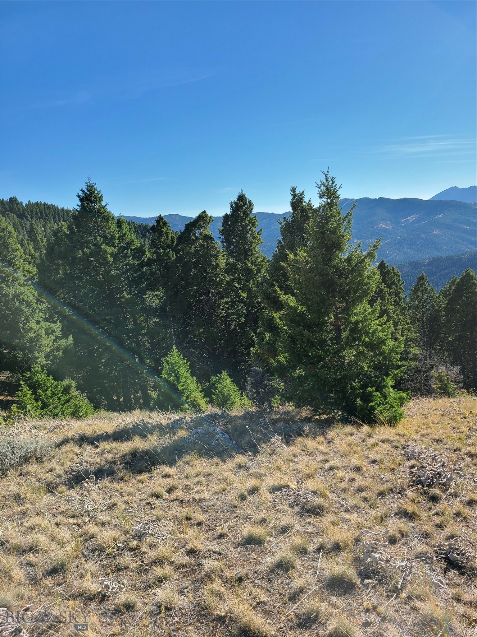 Property Photo:  Lot 3 Battle Ridge Ranch  MT 59715 