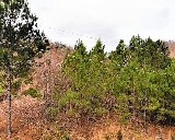 Property Photo:  00 County Road 754  TN 37370 