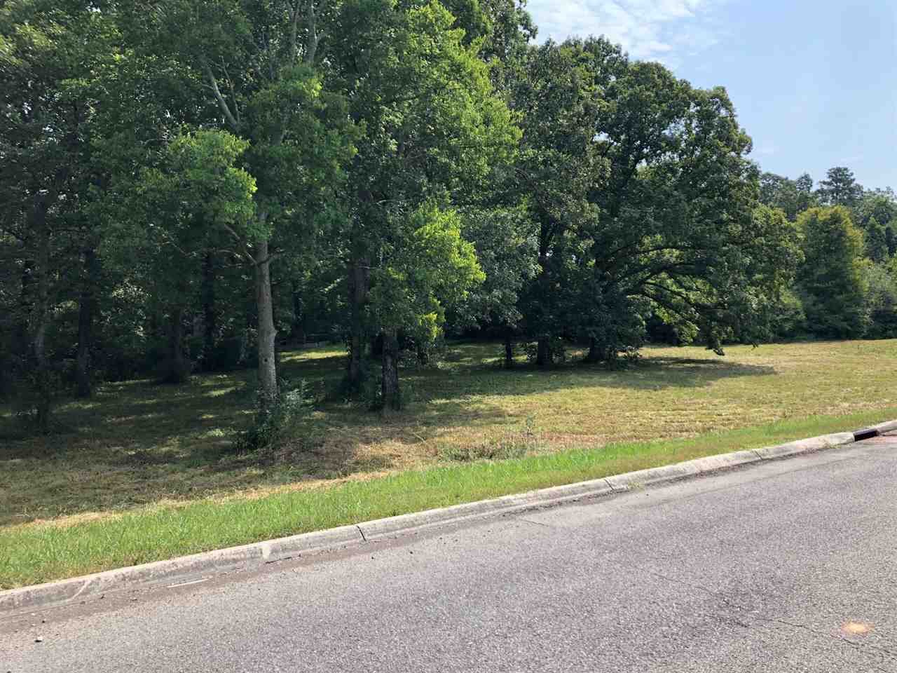 Property Photo:  Lot 39 County Road 7030  TN 37303 