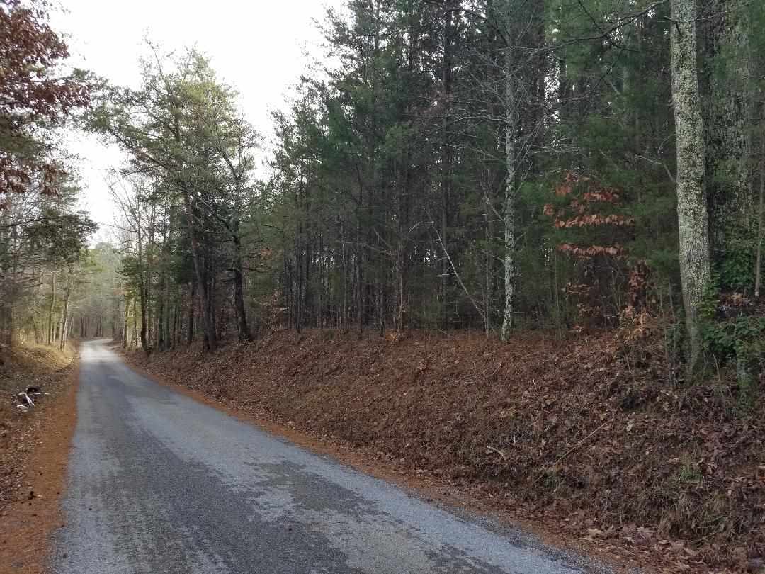 Property Photo:  Lot 6R-1 County Road 36  TN 37309 