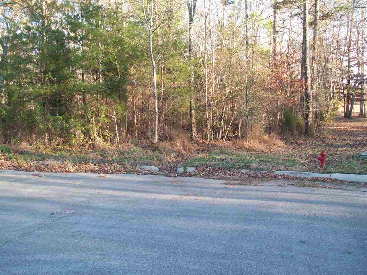 Lot 11 Europa Drive  Spring City TN 37381 photo