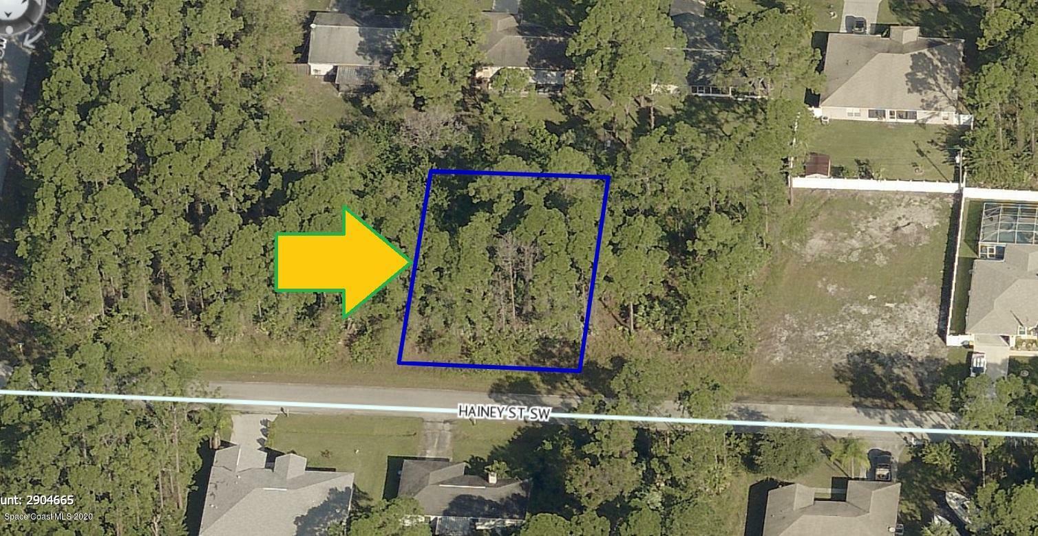 Property Photo:  871 Hainey Street SW  FL 32908 