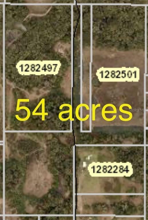 Property Photo:  37428 Harris Lake Road  FL 32159 