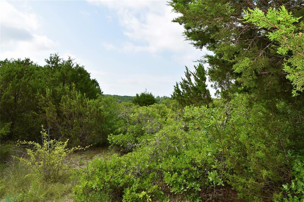 Property Photo:  Tr 956 Majestic Shores  TX 76433 