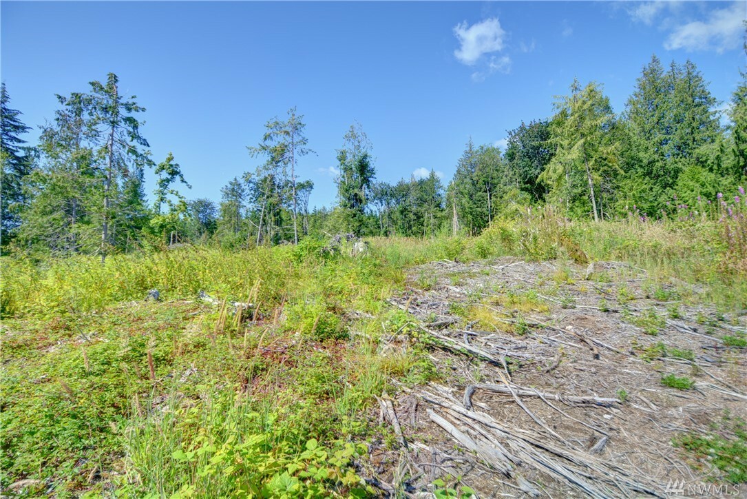 Property Photo:  0 115th  WA 98271 